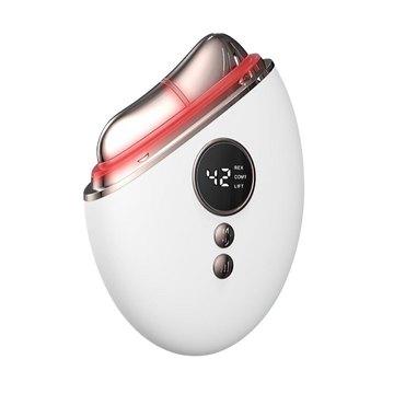 Photon Face & Neck Massager